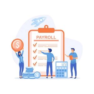 Simplified payroll modules